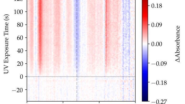 Figure 3. ΔAbsorbance ATR spectra of the NOA-61 epoxy during UV-lamp exposure, collected with the IRIS Monolithic Diamond ATR with the horizontal gray line denoting the initial UV lamp exposure and the dashed vertical gray line denoting the 924 cm-1 spectral band of the terminal alkene =CH2 bend.